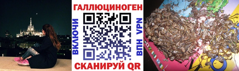 закладка  сайты даркнета какой сайт  Псилоцибиновые грибы MAGIC MUSHROOMS  Каргополь 
