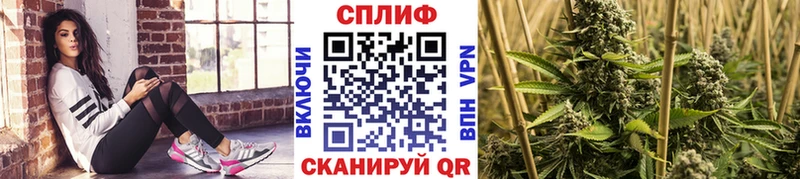 Марихуана семена  дарк нет официальный сайт  Каргополь  наркошоп 
